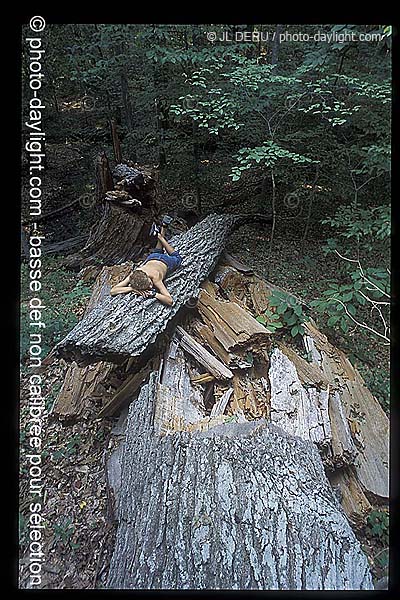 garon sur un tronc d'arbre - boy on a tree trunk